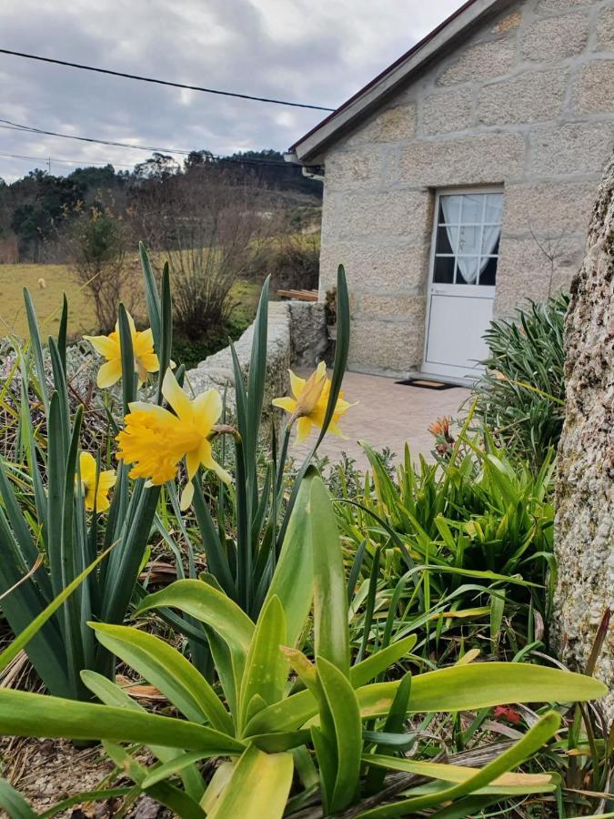 Casa Da Poca Villa Baião Dış mekan fotoğraf